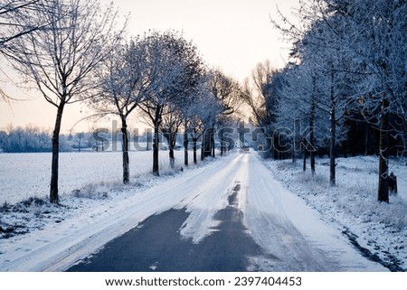 A snow-covered road at sunset in Germany paints a serene picture. The fading sunlight casts long shadows on the icy path, creating a tranquil winter scene bathed in warm hues. Nature's beauty unfolds 