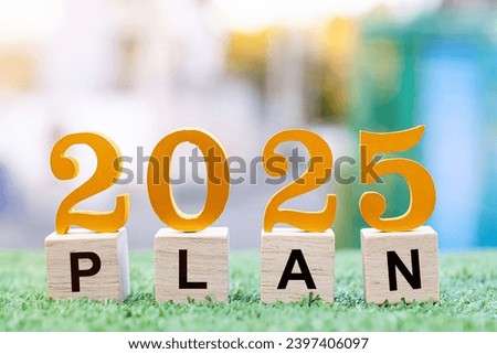 New Year 2025 business plan, strategies, goal, development and success. 2025 number and text plan on wooden cubes.