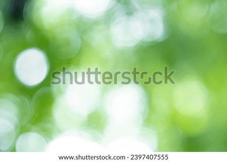 Abstract blurred green color nature public park outdoor background at spring and summer season with sunlight effect