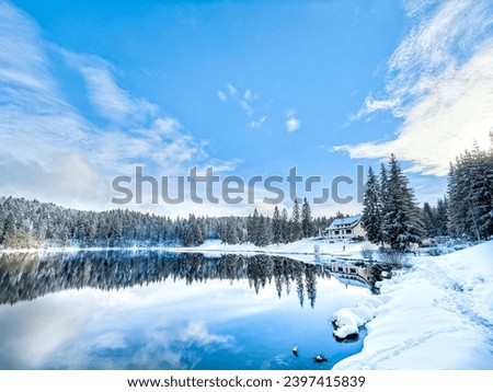Snowy Retreat: Lakeside Cabin in a Wintery Pine Forest Royalty-Free Stock Photo #2397415839