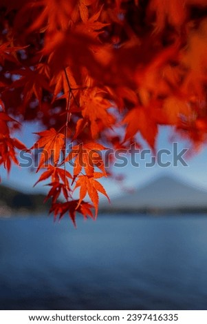 Selective focus on beautiful autumn leaves in Lake Kawaguchi with a Mount Fuji in background