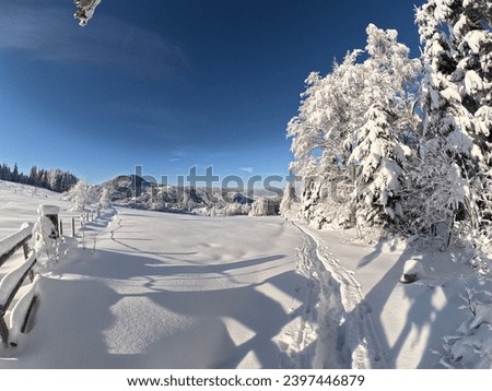Winter wonderland snow covered environment 