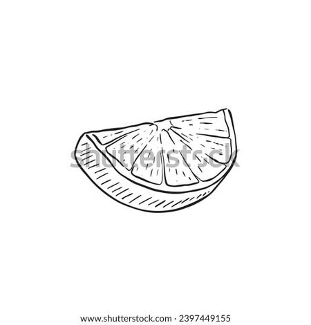 Hand drawn lime segment in black and white. Drawn in a sketchy style using simple line drawn techniques. Sketchy vector.  Royalty-Free Stock Photo #2397449155