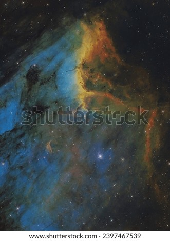 A narrowband image of the Pelican Nebula in the constellation Cygnus.