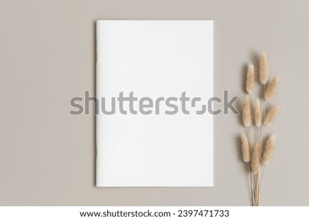 Magazine mockup with a lagurus on the beige table. Royalty-Free Stock Photo #2397471733