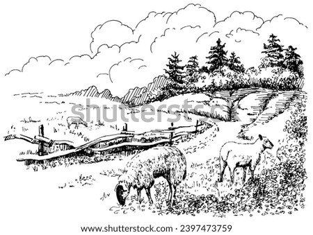 Rural scenery. Meadow, alkali, lye, grassland, pommel, lea, pasturage, farm. Vector sketch illustration Royalty-Free Stock Photo #2397473759