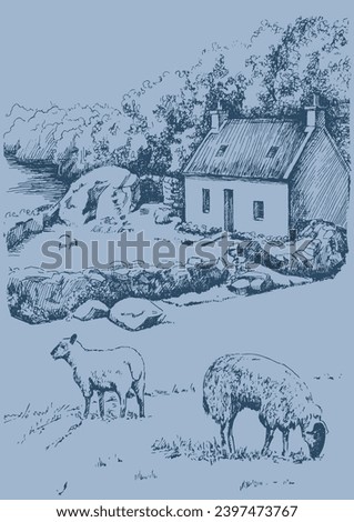 Rural scenery. Meadow, alkali, lye, grassland, pommel, lea, pasturage, farm. Vector sketch illustration Royalty-Free Stock Photo #2397473767
