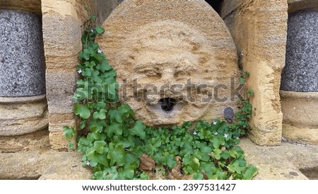 Stone carving face used as water fountain and planter. Royalty-Free Stock Photo #2397531427
