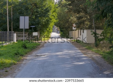 A narrow asphalt street through part of the city in a wooded "green" district. Green" nature-friendly part of the city, rich in pine forests and other flora (and fauna).  Royalty-Free Stock Photo #2397533665