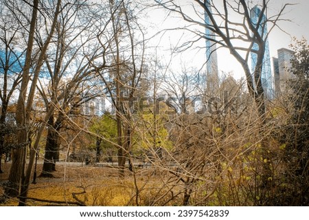 A day in central park in autumn in new york city