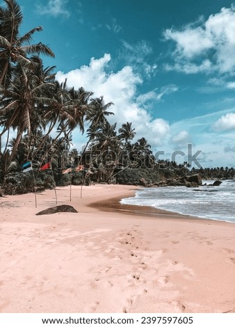 The flags of Estonia, Belarus, Ukraine and Sri Lanka fly on the shore of the Indian Ocean. Ambalangoda beach in the southern province of Sri Lanka.