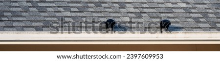 Two crows perched on an asphalt shingle roof gutter, focused and intently looking down

