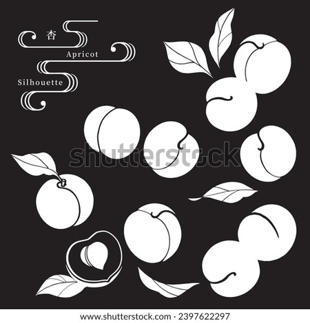 Vector illustration of various apricots