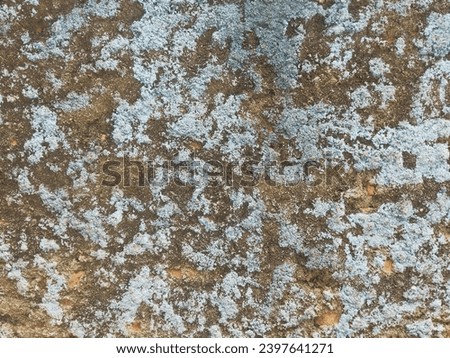 White or blue fading paint on the aged outdoor mossy wall, old wall texture, vintage building background, abstract graphic resource, architecture design material 