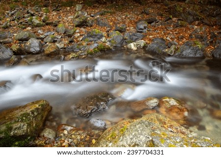 Stream and autumn leaves captured by slow shutter speed