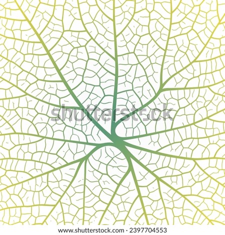Leaf vein texture abstract background with close up plant leaf cells ornament texture pattern. Black and white organic macro linear pattern of nature leaf foliage vector illustration. Royalty-Free Stock Photo #2397704553