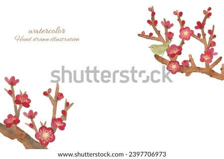 Vector illustration of plum blossoms and nightingale painted in watercolor Royalty-Free Stock Photo #2397706973