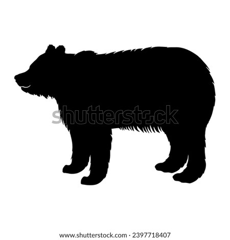silhouette of a black bear walking