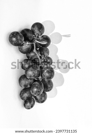 Black and white photo with an abstract photo concept for the background, Portrait a sprig of grapes or vitis vinifera isolated on a white background.