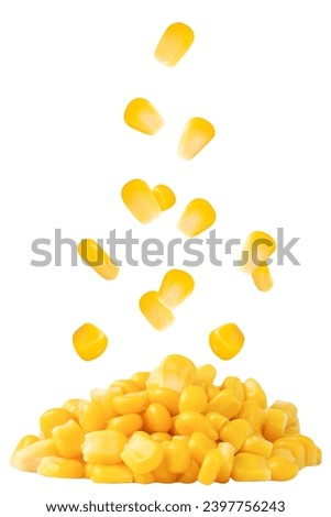 Levitation of boiled corn kernels isolated on white background. Royalty-Free Stock Photo #2397756243