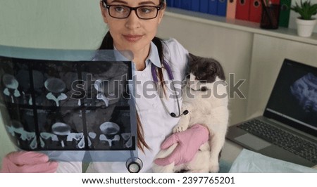 Veterinarian received result of cat x-ray and examined scan in office. Examination of internal organs in animals Royalty-Free Stock Photo #2397765201