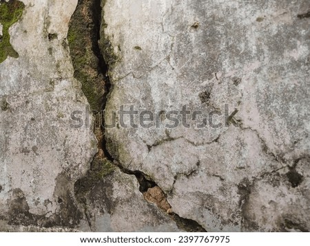 cracked walls covered in moss