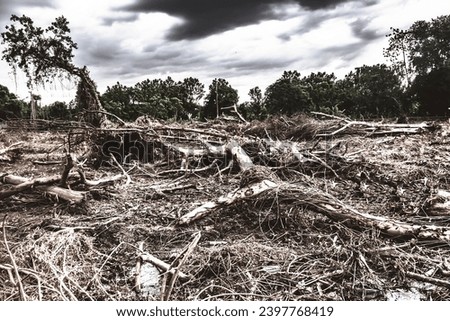 Deforestation in Asia and Its Environmental Impact Royalty-Free Stock Photo #2397768419