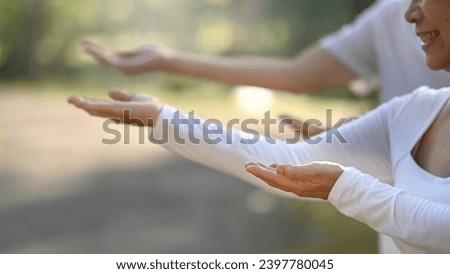 Elderly senior people practicing Tai chi class in the summer park. Mental health and wellbeing concept Royalty-Free Stock Photo #2397780045