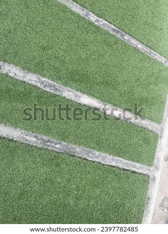 lines on the grass of a soccer field.