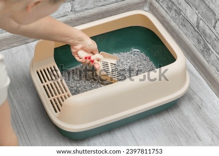 man cleaning cat litter box with dustpan. cleaning the cat litter box. pet cat care. High quality photo