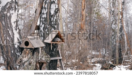 Squirrel in winter forest at bird feeder, exemplifying animal feeding. Cinematic shot perfect for illustrating animal feeding habits, showcases squirrel in act of feeding in nature.