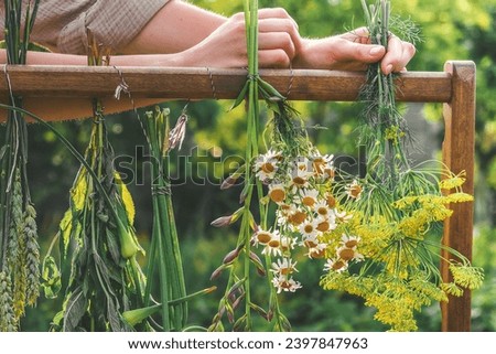 Aromatherapy,herbal gathering and drying,herbal apothecary aesthetic,organic alternative medicine,herbalism,incense and mental health,herbal pharmacy,aesthetics organic herbs Royalty-Free Stock Photo #2397847963