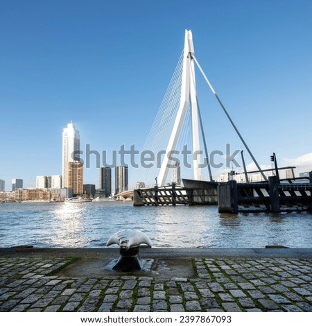 nieuwe maas river and erasmus bridge seen from waterfront of kop van zuid in dutch city of rotterdam on sunny day with blue sky Royalty-Free Stock Photo #2397867093