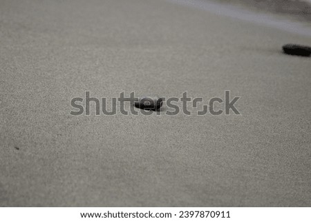 Waves and sands at sea coast