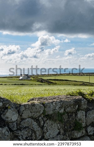 British cottage house behind field moving with the wind on the coastside in Cornwall, UK