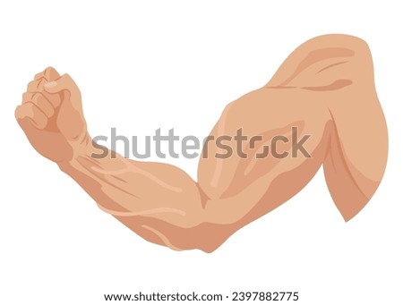 Male biceps muscles icons set. Sportsman arm with strong biceps. Vector symbol of healthy power. Athletic body with tense muscles hand isolated onwhite background Royalty-Free Stock Photo #2397882775