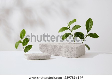 Abstract background with minimalist style for product brand presentation. Gray blocks of stone with green tea leaves displayed on white background. Space for design, place your product Royalty-Free Stock Photo #2397896149