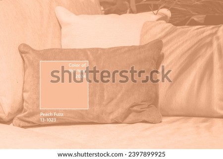 Image toned in trendy pantone color of year 2024 Peach Fuzz. Close up light cozy fabric sofa with shadows from patm leaves pot plant. Pillows on beige sofa room decoration background