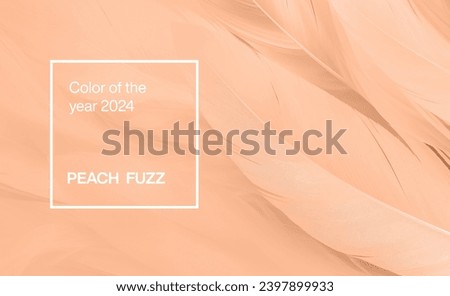 Color Peach for 2024 year Royalty-Free Stock Photo #2397899933