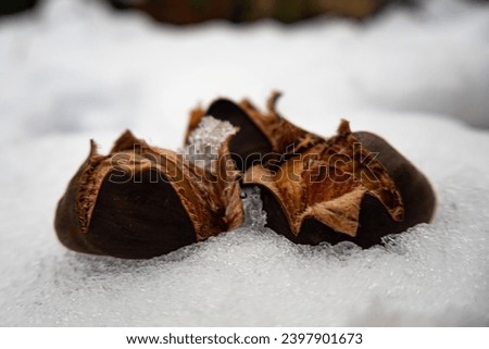 baked chestnuts in the snow
