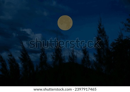 Full moon in the sky with tree branch and mountain.