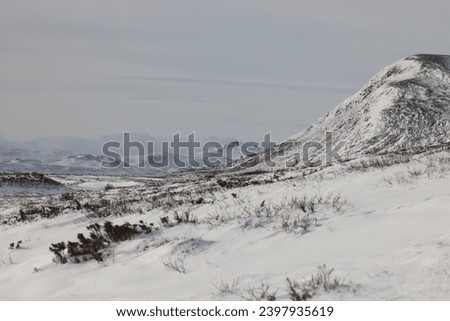 autumn landscape and first snow Dovrefjell National Park Norway Royalty-Free Stock Photo #2397935619