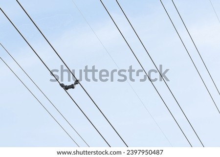 High voltage power line transmission with spacer