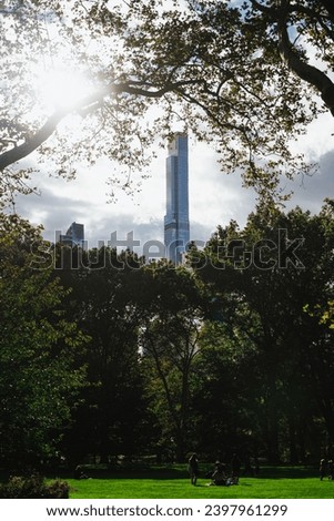 Central Park meadow surrounded by green foliage and modern buildings in New York City
