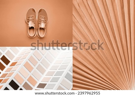 Creative collage of New trending PANTONE 13-1023 Peach Fuzz colour of 2024 year 