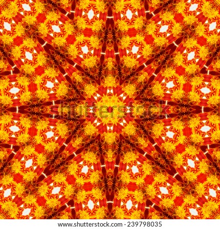 Pattern of Macro marigold red flower with yellow stamens