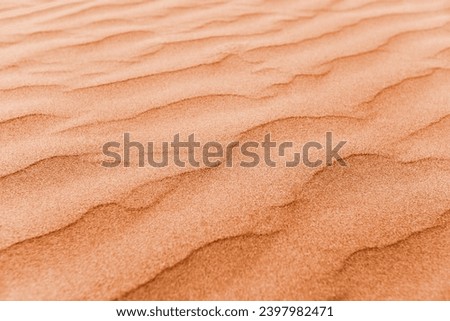 closeup of sand pattern of a beach in the summer. New trending PANTONE 13-1023 Peach Fuzz colour of 2024 year