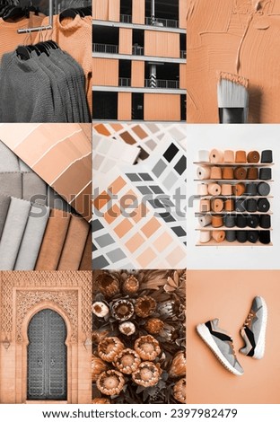 Collage of New trending PANTONE 13-1023 Peach Fuzz colour of 2024 year
