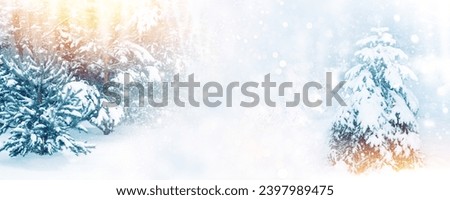 Blurred. Landscapes. Frozen winter forest with snow covered trees. outdoor