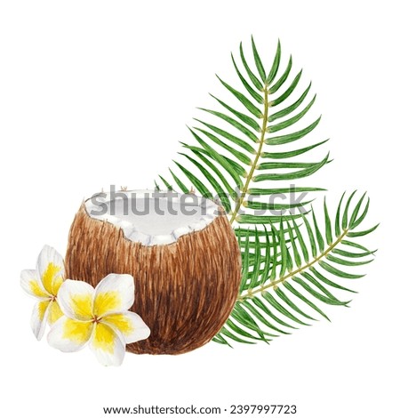 White frangipani, green palm leaves and half a broken coconut illustration. Watercolor hand drawn clip art of exotic fruit. Tropical painting for wedding invitations, spa, beauty prints, travel guides